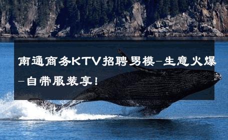 南通商务KTV招聘男模-生意火爆-自带服装享！ 