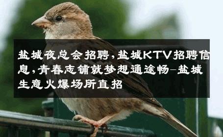 盐城夜总会招聘,盐城KTV招聘信息,青春志铺就梦想通途畅-盐城生意火爆场所直招