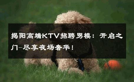 揭阳高端KTV招聘男模：开启之门-尽享夜场奢华！ 