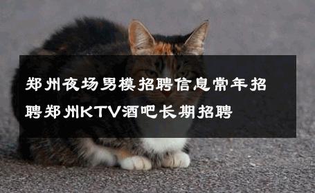 郑州夜场男模招聘信息常年招聘郑州KTV酒吧长期招聘 