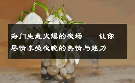 海门生意火爆的夜场——让你尽情享受夜晚的热情与魅力 