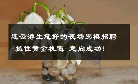 连云港生意好的夜场男模招聘-抓住黄金机遇-走向成功！ 
