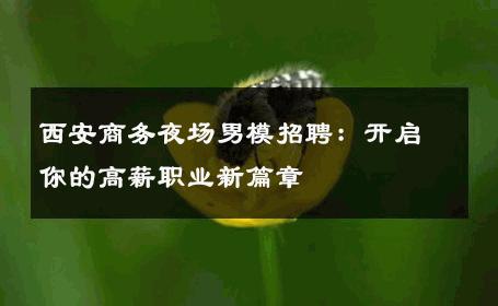 西安商务夜场男模招聘：开启你的高薪职业新篇章 
