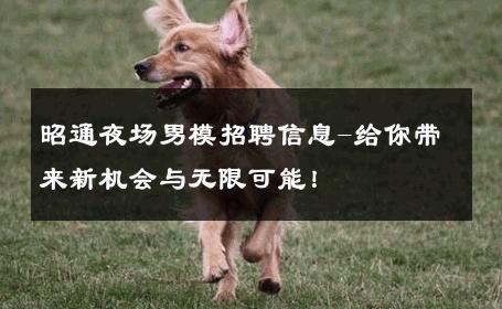昭通夜场男模招聘信息-给你带来新机会与无限可能！ 