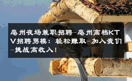亳州夜场兼职招聘-亳州高档KTV招聘男模：轻松赚取-加入我们-挑战高收入！ 