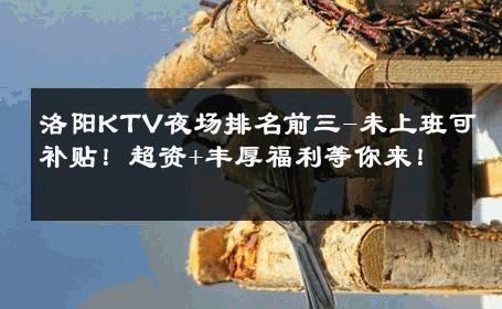 洛阳KTV夜场排名前三-未上班可补贴！超资+丰厚福利等你来！ 