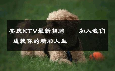安庆KTV最新招聘——加入我们-成就你的精彩人生 