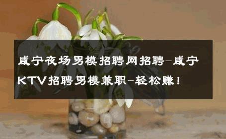 咸宁夜场男模招聘网招聘-咸宁KTV招聘男模兼职-轻松赚！ 