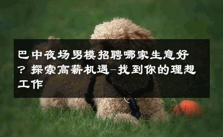 巴中夜场男模招聘哪家生意好？探索高薪机遇-找到你的理想工作 