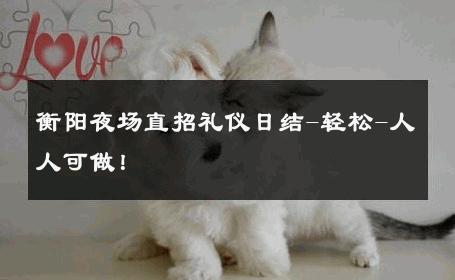 衡阳夜场直招礼仪日结-轻松-人人可做！ 