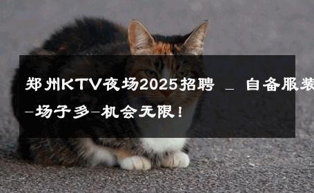 郑州KTV夜场2025招聘 _ 自备服装-场子多-机会无限！ 