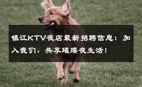 镇江KTV夜店最新招聘信息：加入我们，共享璀璨夜生活！