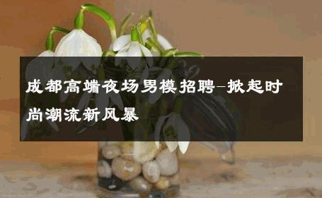 成都高端夜场男模招聘-掀起时尚潮流新风暴 
