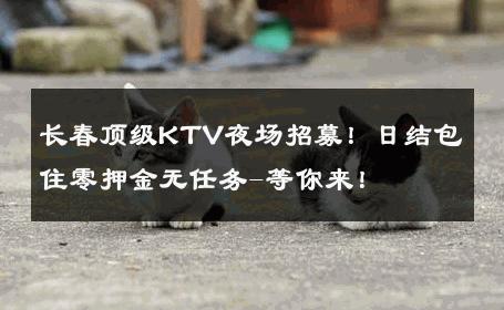 长春顶级KTV夜场招募！日结包住零押金无任务-等你来！ 