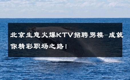 北京生意火爆KTV招聘男模-成就你精彩职场之路！ 