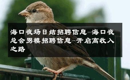 海口夜场日结招聘信息-海口夜总会男模招聘信息-开启高收入之路 