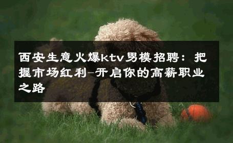 西安生意火爆ktv男模招聘：把握市场红利-开启你的高薪职业之路 