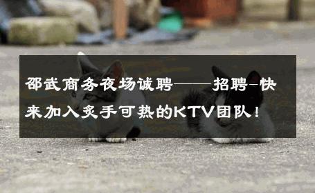 邵武商务夜场诚聘——招聘-快来加入炙手可热的KTV团队！ 