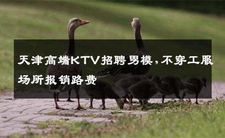 天津高端KTV招聘男模,不穿工服场所报销路费 