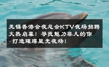 无锡香港会夜总会KTV夜场招聘火热启幕！寻找魅力非凡的你-打造璀璨星光夜场！ 