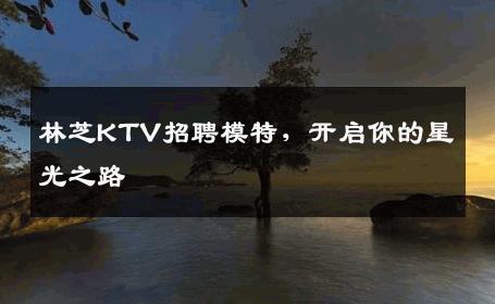 林芝KTV招聘模特，开启你的星光之路
