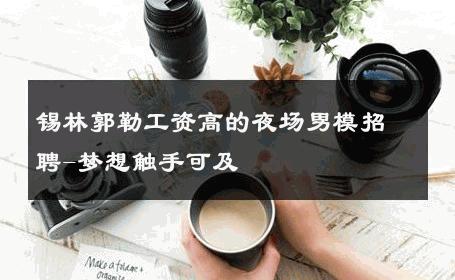 锡林郭勒工资高的夜场男模招聘-梦想触手可及 