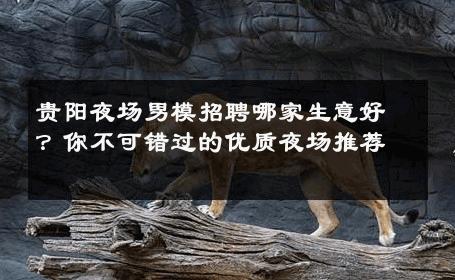 贵阳夜场男模招聘哪家生意好？你不可错过的优质夜场推荐 