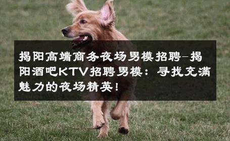 揭阳高端商务夜场男模招聘-揭阳酒吧KTV招聘男模：寻找充满魅力的夜场精英！ 