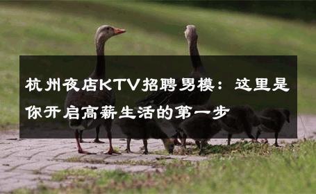 杭州夜店KTV招聘男模：这里是你开启高薪生活的第一步 