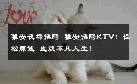雅安夜场招聘-雅安招聘KTV：轻松赚钱-成就不凡人生！ 