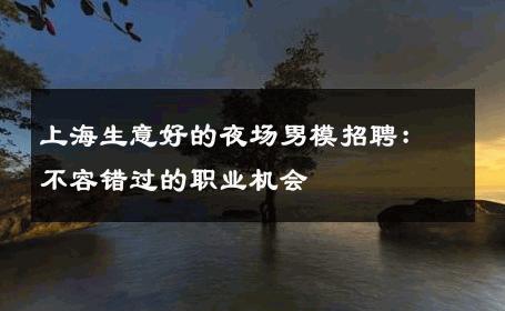 上海生意好的夜场男模招聘：不容错过的职业机会 