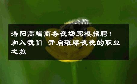 洛阳高端商务夜场男模招聘：加入我们-开启璀璨夜晚的职业之旅 