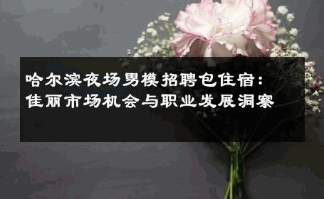 哈尔滨夜场男模招聘包住宿：佳丽市场机会与职业发展洞察 