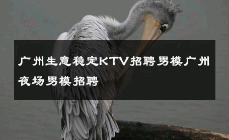 广州生意稳定KTV招聘男模广州夜场男模招聘 