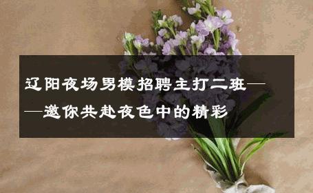 辽阳夜场男模招聘主打二班——邀你共赴夜色中的精彩 