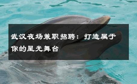 武汉夜场兼职招聘：打造属于你的星光舞台 