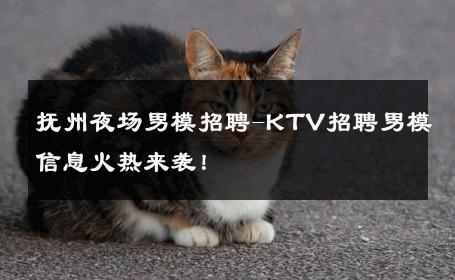 抚州夜场男模招聘-KTV招聘男模信息火热来袭！ 