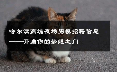 哈尔滨高端夜场男模招聘信息——开启你的梦想之门 
