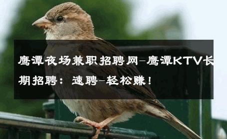 鹰潭夜场兼职招聘网-鹰潭KTV长期招聘：速聘-轻松赚！ 