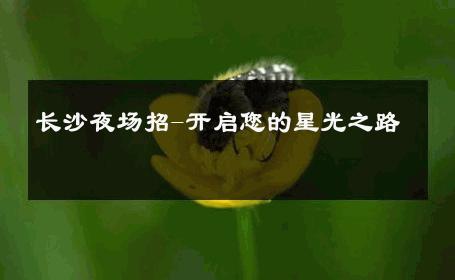 长沙夜场招-开启您的星光之路 