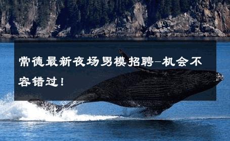 常德最新夜场男模招聘-机会不容错过！ 