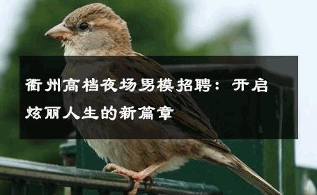 衢州高档夜场男模招聘：开启炫丽人生的新篇章 