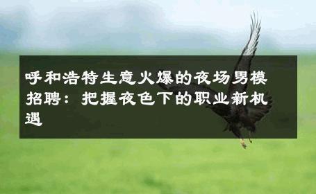 呼和浩特生意火爆的夜场男模招聘：把握夜色下的职业新机遇 
