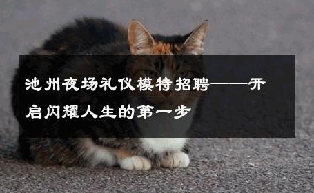 池州夜场礼仪模特招聘——开启闪耀人生的第一步