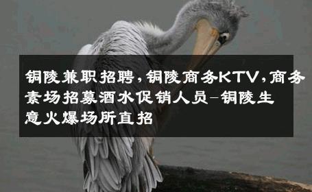 铜陵兼职招聘,铜陵商务KTV,商务素场招募酒水促销人员-铜陵生意火爆场所直招