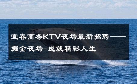 宜春商务KTV夜场最新招聘——掘金夜场-成就精彩人生 