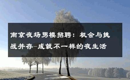 南京夜场男模招聘：机会与挑战并存-成就不一样的夜生活 
