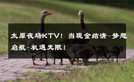 太原夜场KTV！当现金结清-梦想启航-机遇无限！ 
