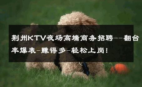 荆州KTV夜场高端商务招聘--翻台率爆表-赚得多-轻松上岗！ 