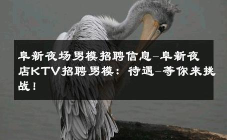 阜新夜场男模招聘信息-阜新夜店KTV招聘男模：待遇-等你来挑战！ 
